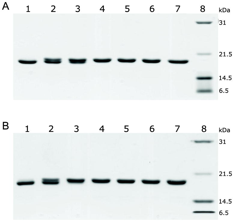 Fig. 8