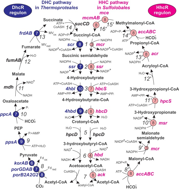 FIG 1