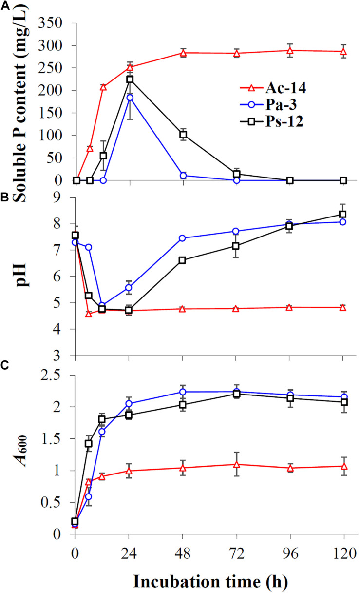 FIGURE 3