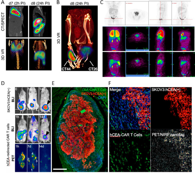 Figure 23