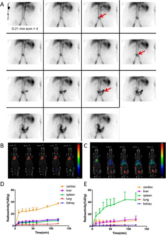 Figure 20