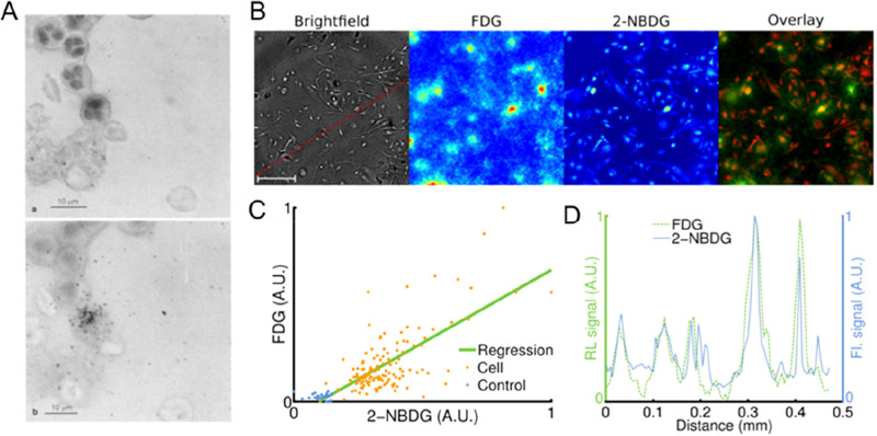 Figure 17