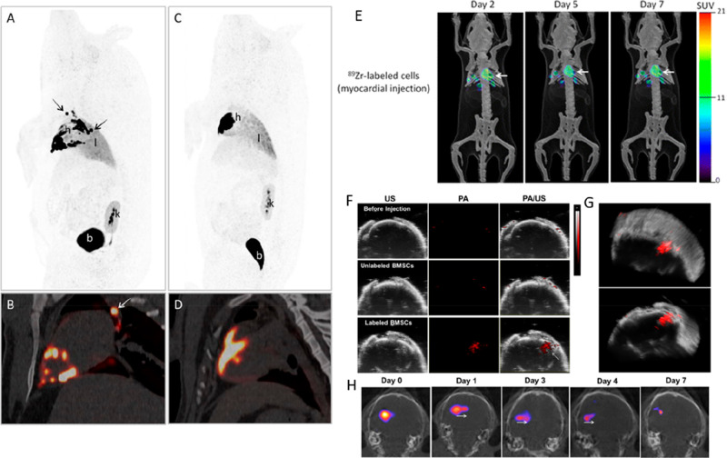 Figure 21