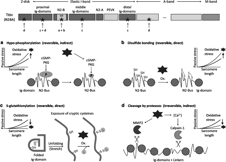 Fig. 2