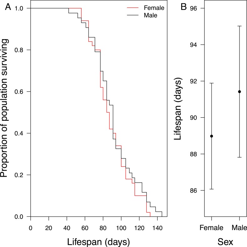 Figure 1—figure supplement 1.