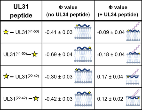 FIG 6