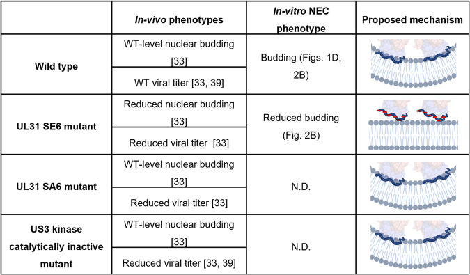 FIG 3