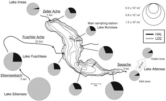 FIG. 5.