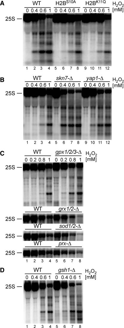 Figure 5.