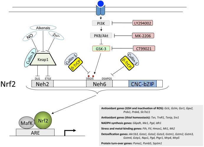 Figure 12