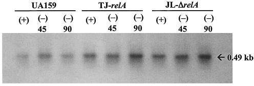 FIG. 10.