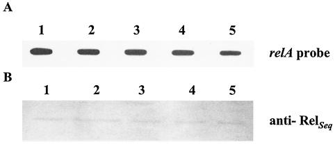 FIG. 9.