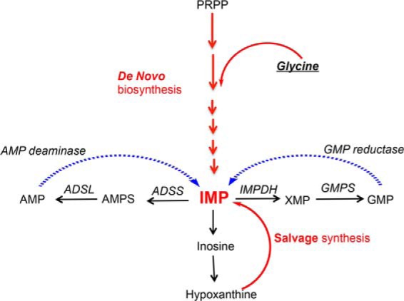 FIGURE 3.