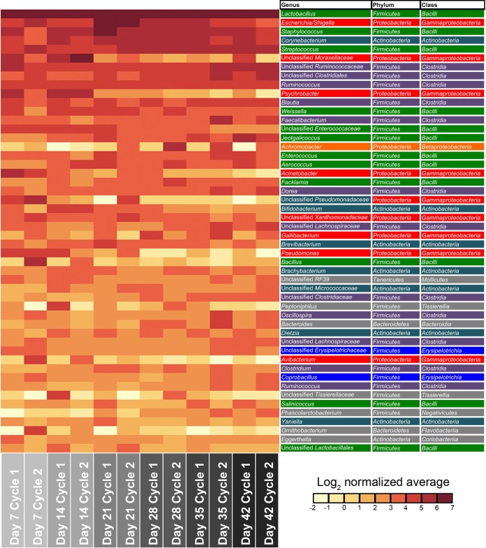 FIG 10