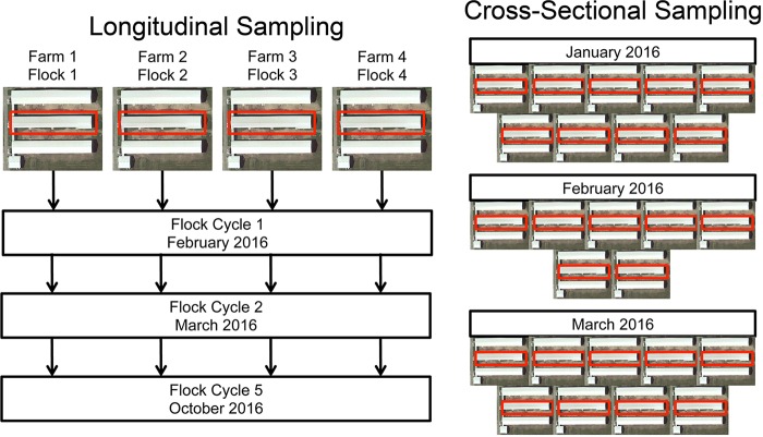 FIG 1