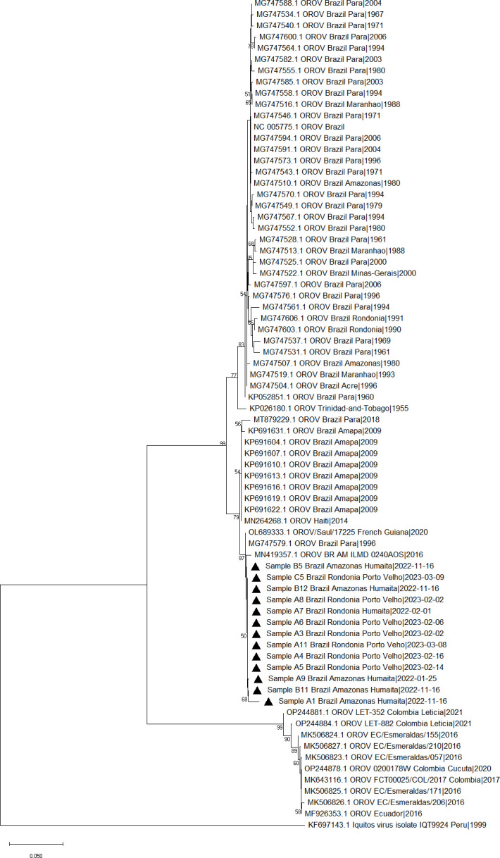 Fig 3