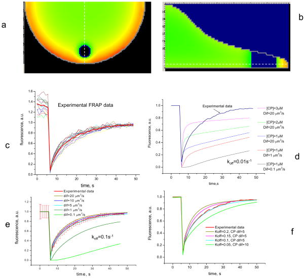 FIGURE 3