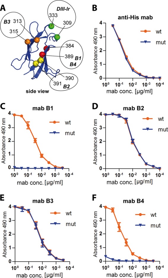 Fig 5