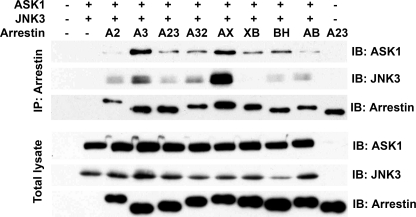 FIGURE 3.