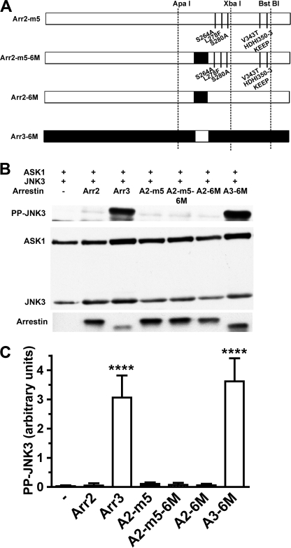 FIGURE 7.