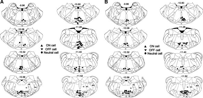 Fig. 9.