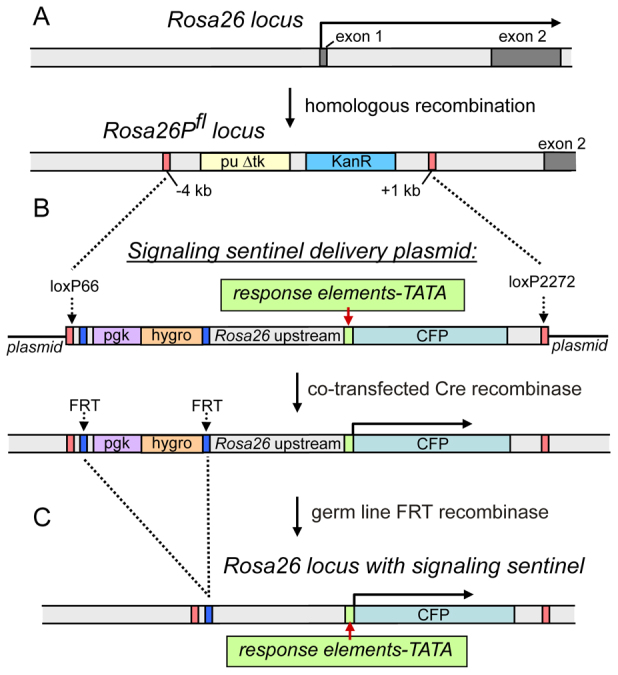 Fig. 2.