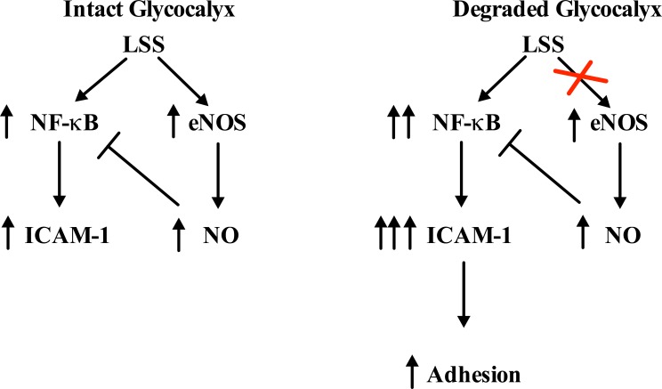 Fig 9