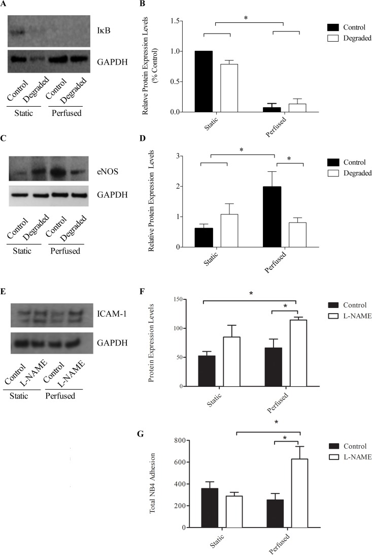 Fig 8