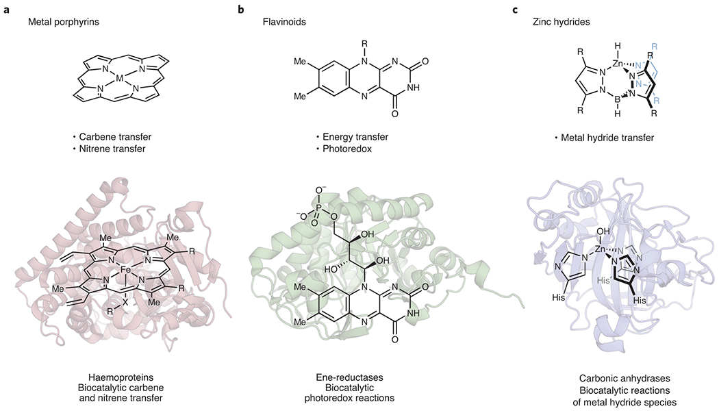 Figure 2: