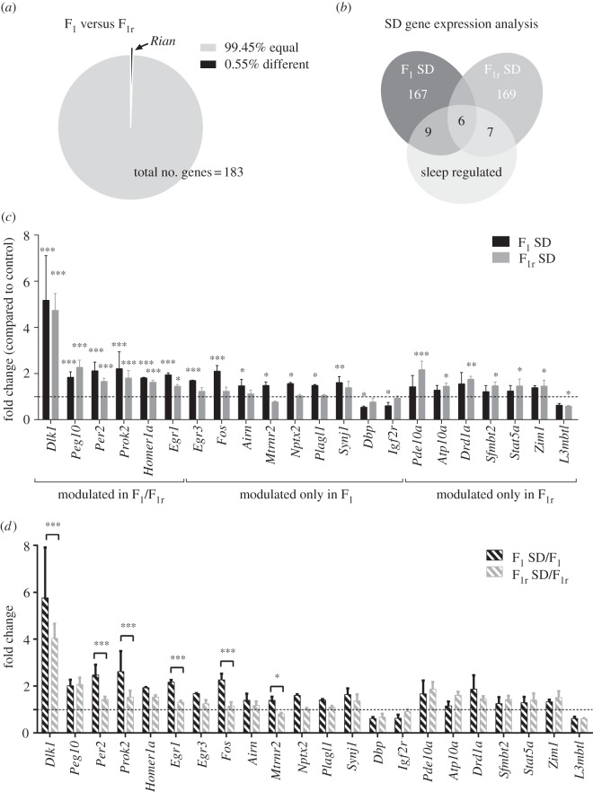 Figure 2.