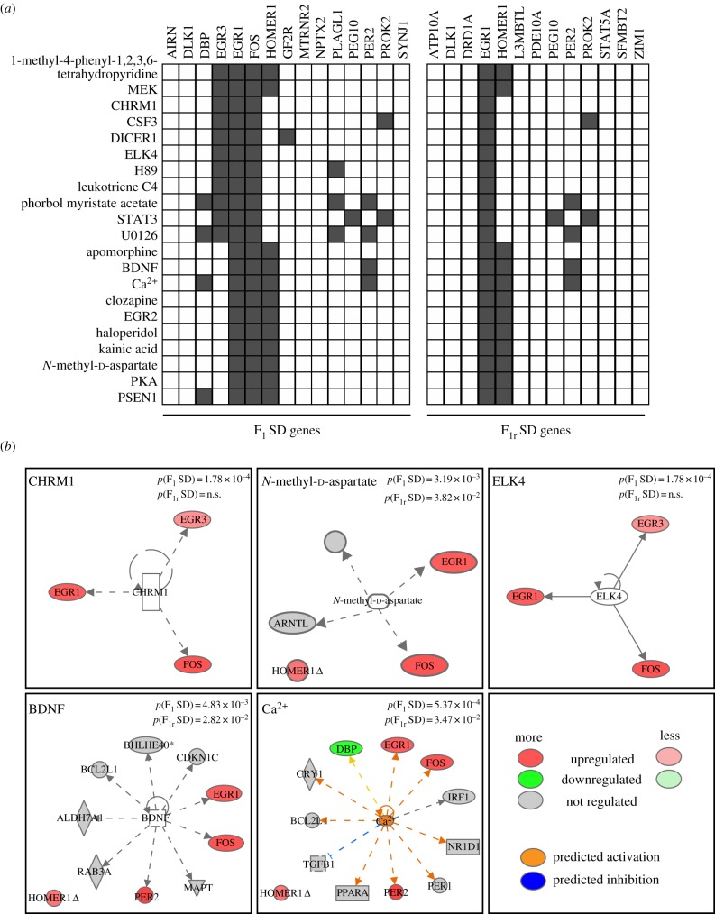 Figure 4.