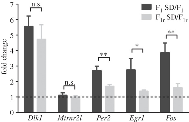 Figure 3.