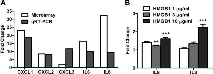 FIGURE 4.