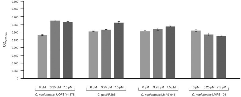 FIGURE 4