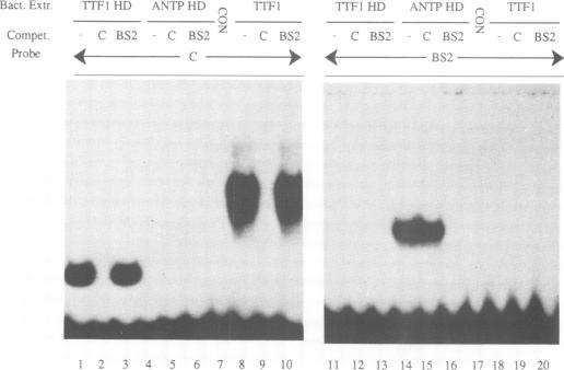 Fig.5