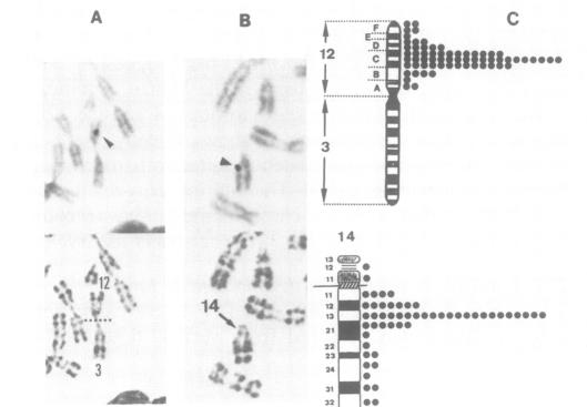 Fig.8