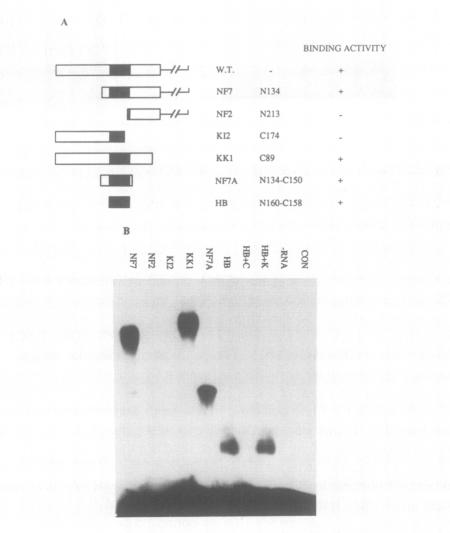 Fig.3