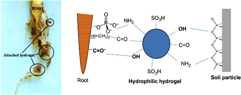 Fig. 17