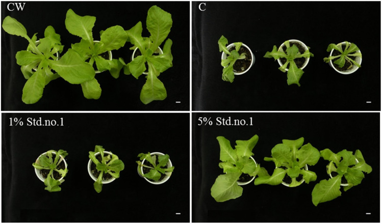 Fig. 13