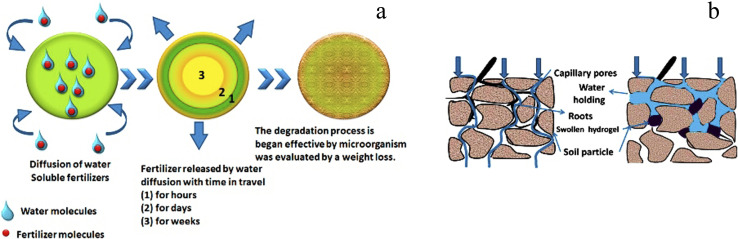 Fig. 16