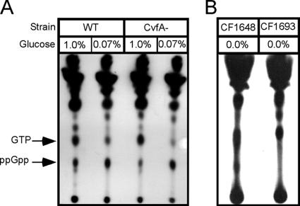 FIG. 8.