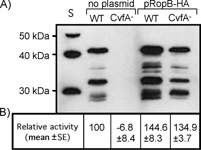 FIG. 7.