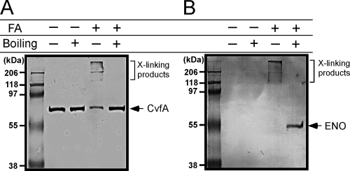 FIG. 9.