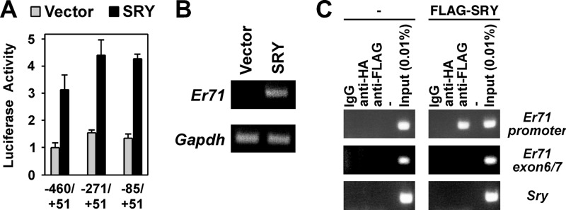 FIGURE 1.