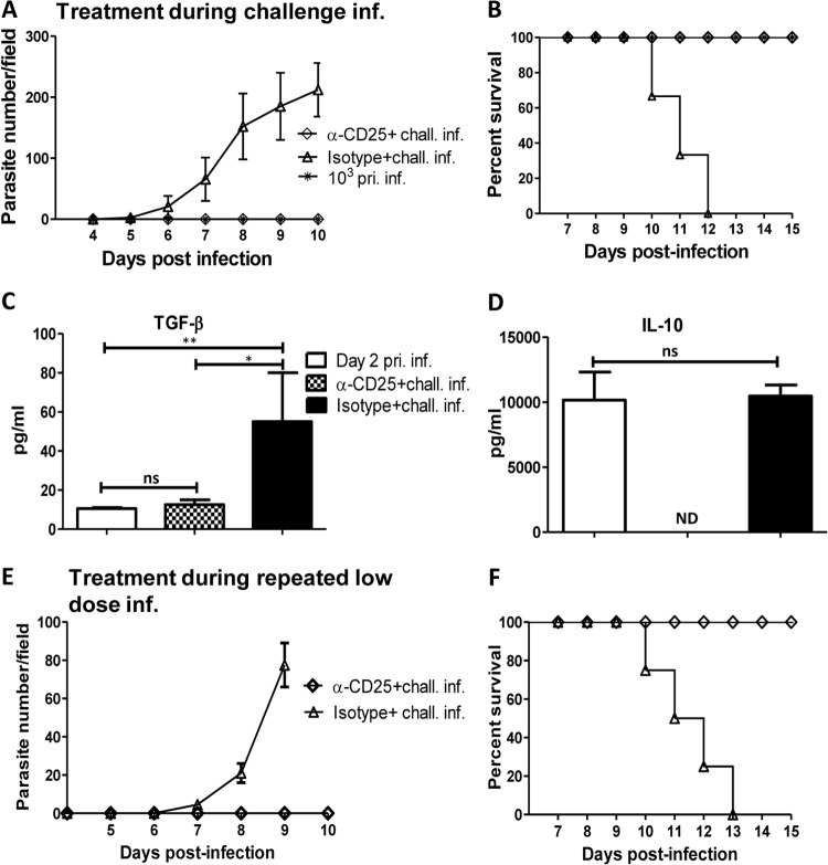 FIG 6