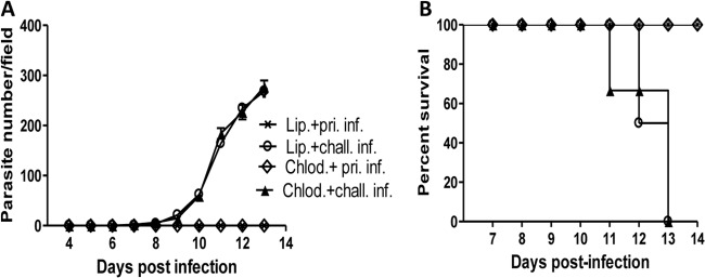 FIG 7