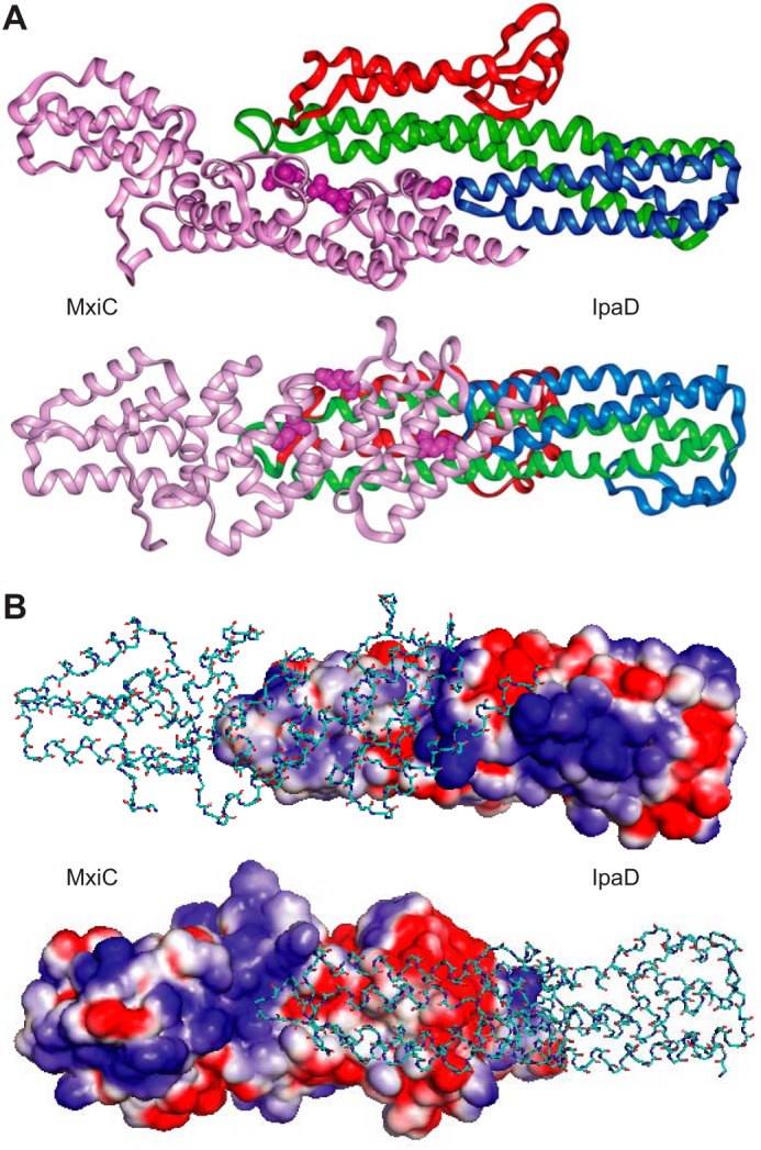 FIGURE 9.