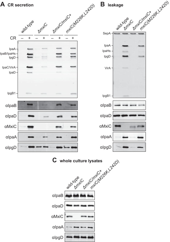 FIGURE 4.