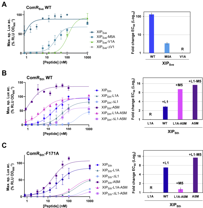 Figure 6