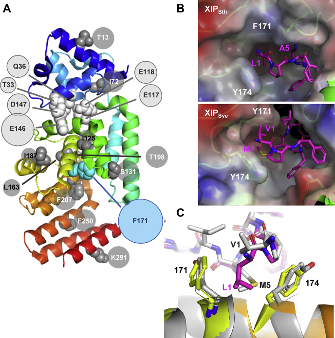 Figure 4